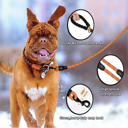 Hank Leash Orange For Dog