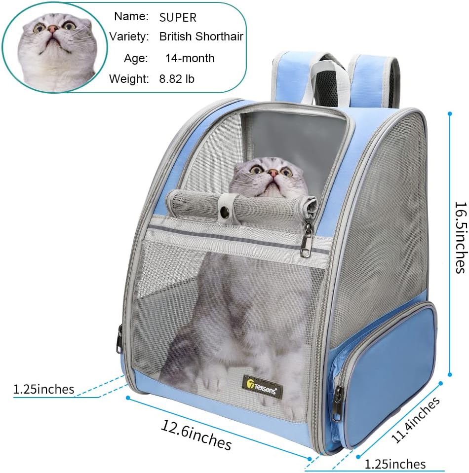 Traveler Bubble Backpack Pet Carriers for Cats and Dogs (Blue)