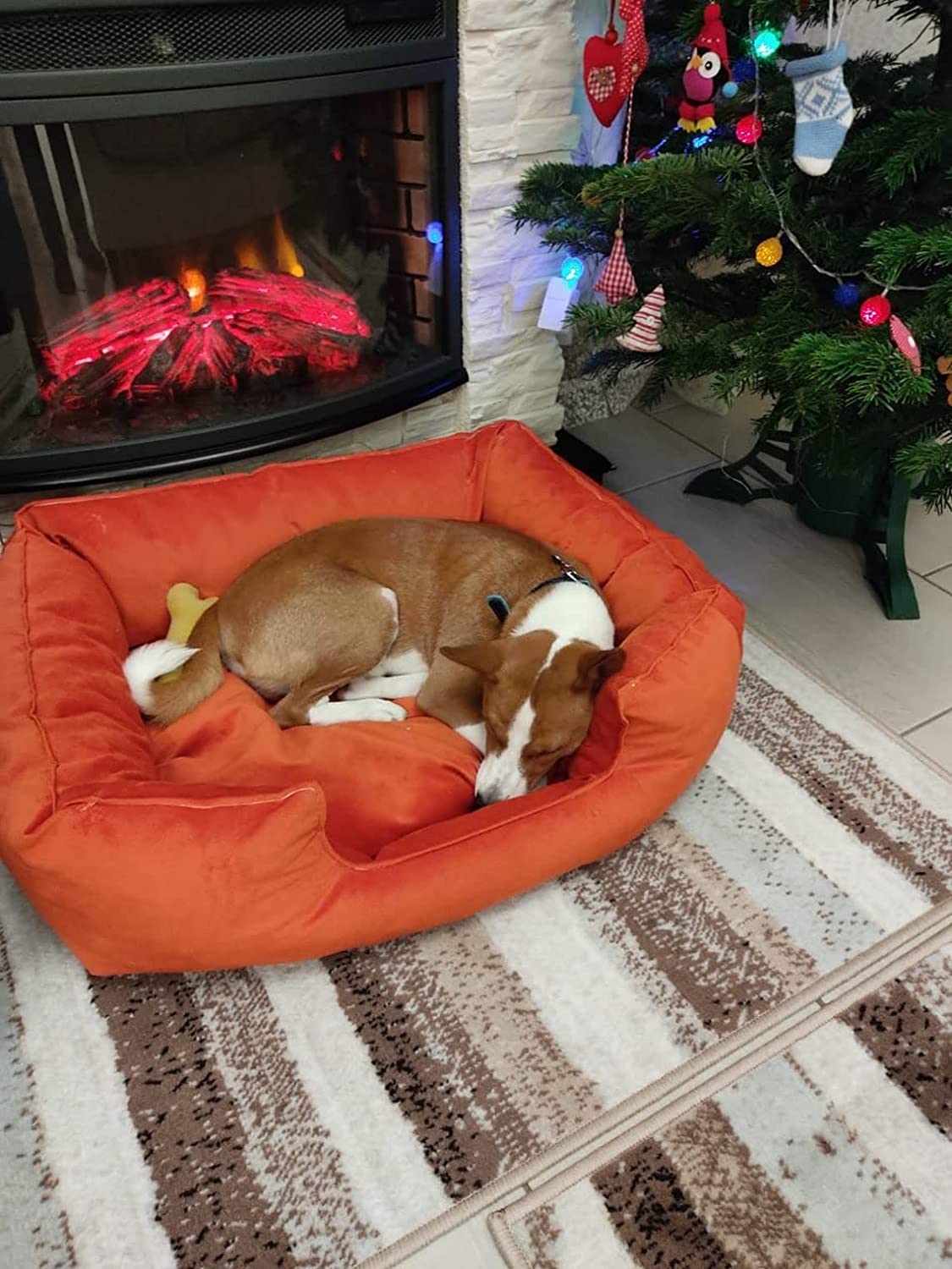 Pet Bed - HANK