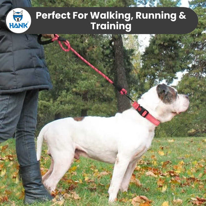 Hank dog leash With 5 feet