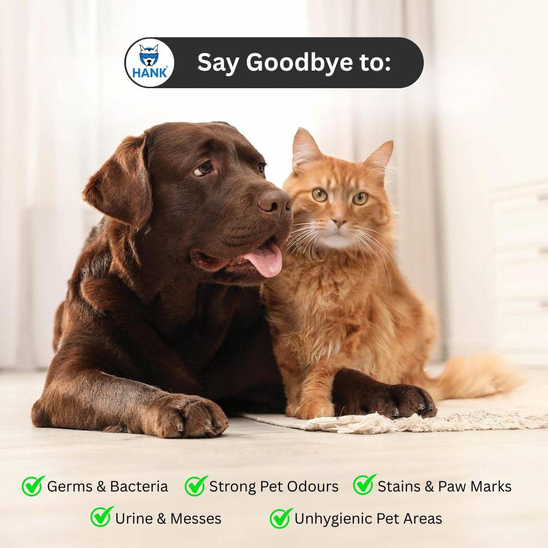 Pet Stain Remover