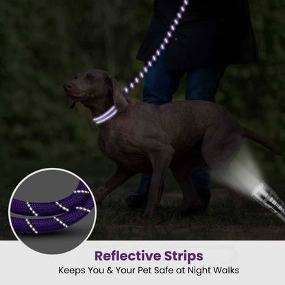 Dog Leash Violet