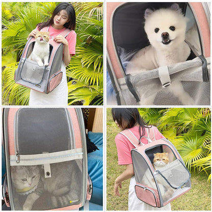 Traveler Bubble Backpack Pet Carriers for Cats and Dogs (pink)