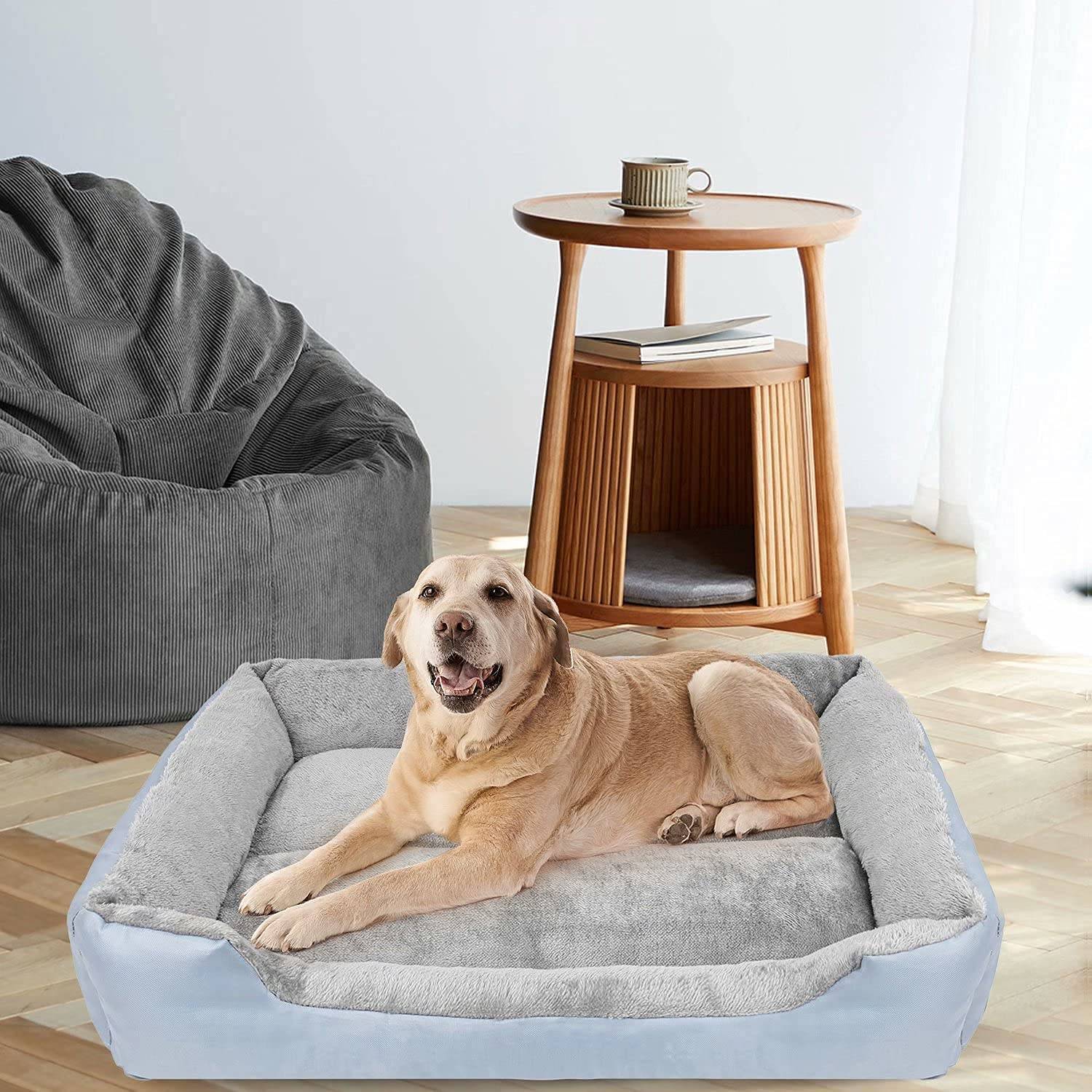 Pet Bed New