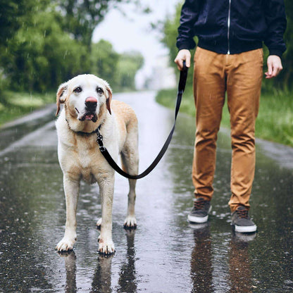 Dog Leash Black