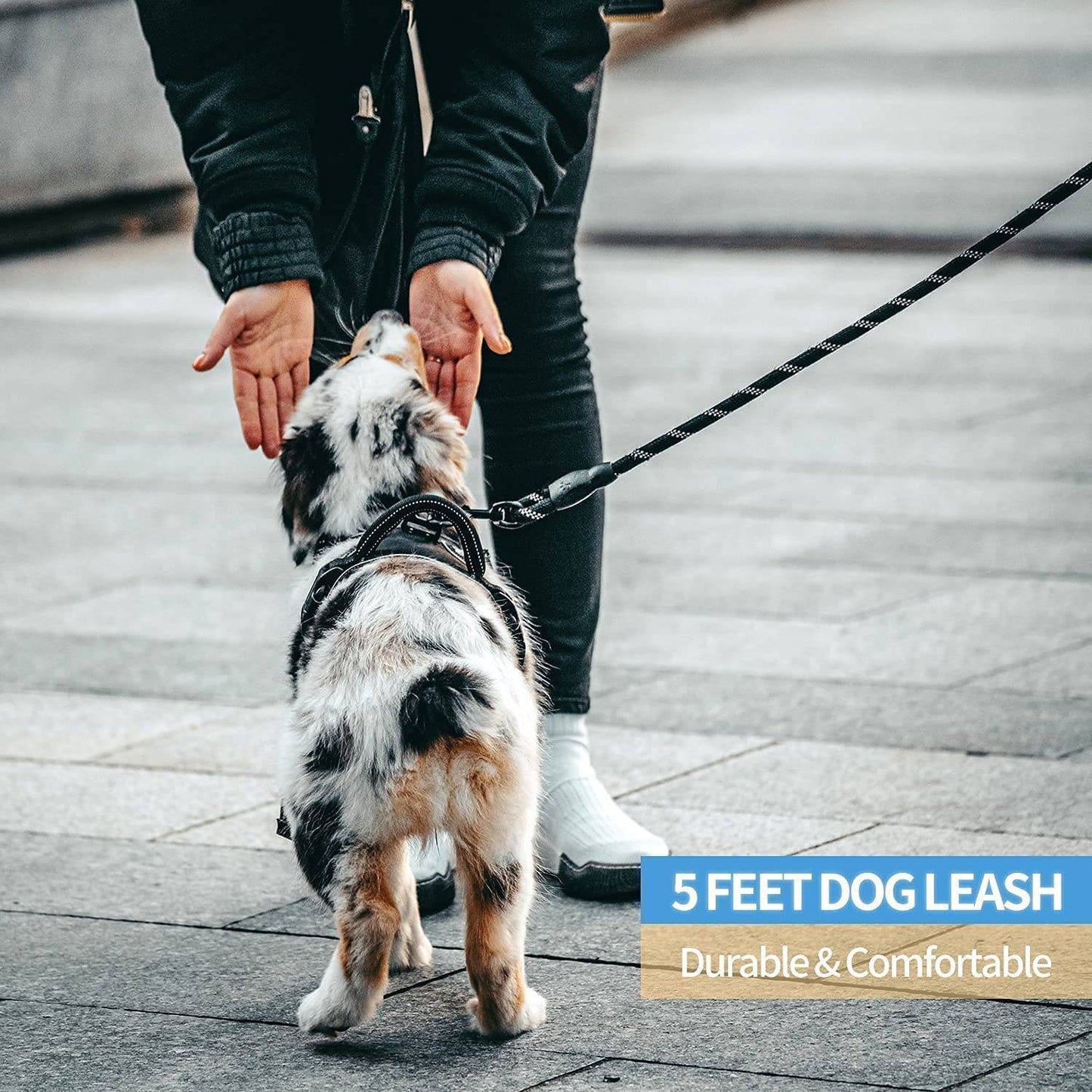 Hank Leash Black For Dog