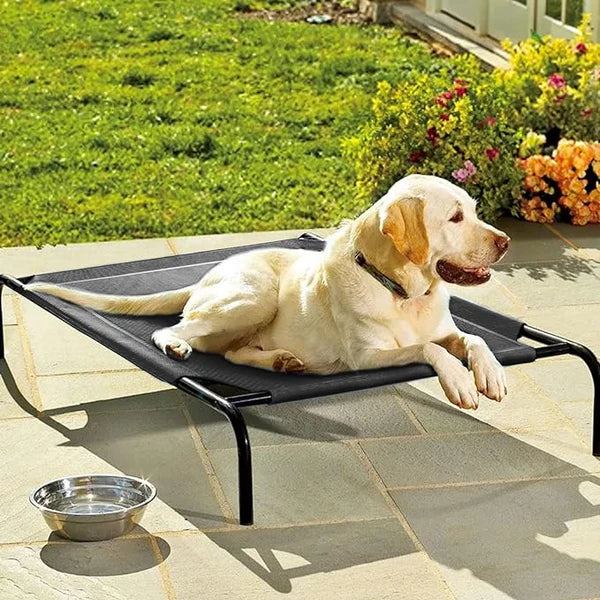 Elevated Dog Bed – Breathable Mesh & Metal Frame, Indoor/Outdoor Use
