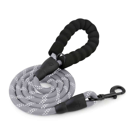 Dog Grey Leash