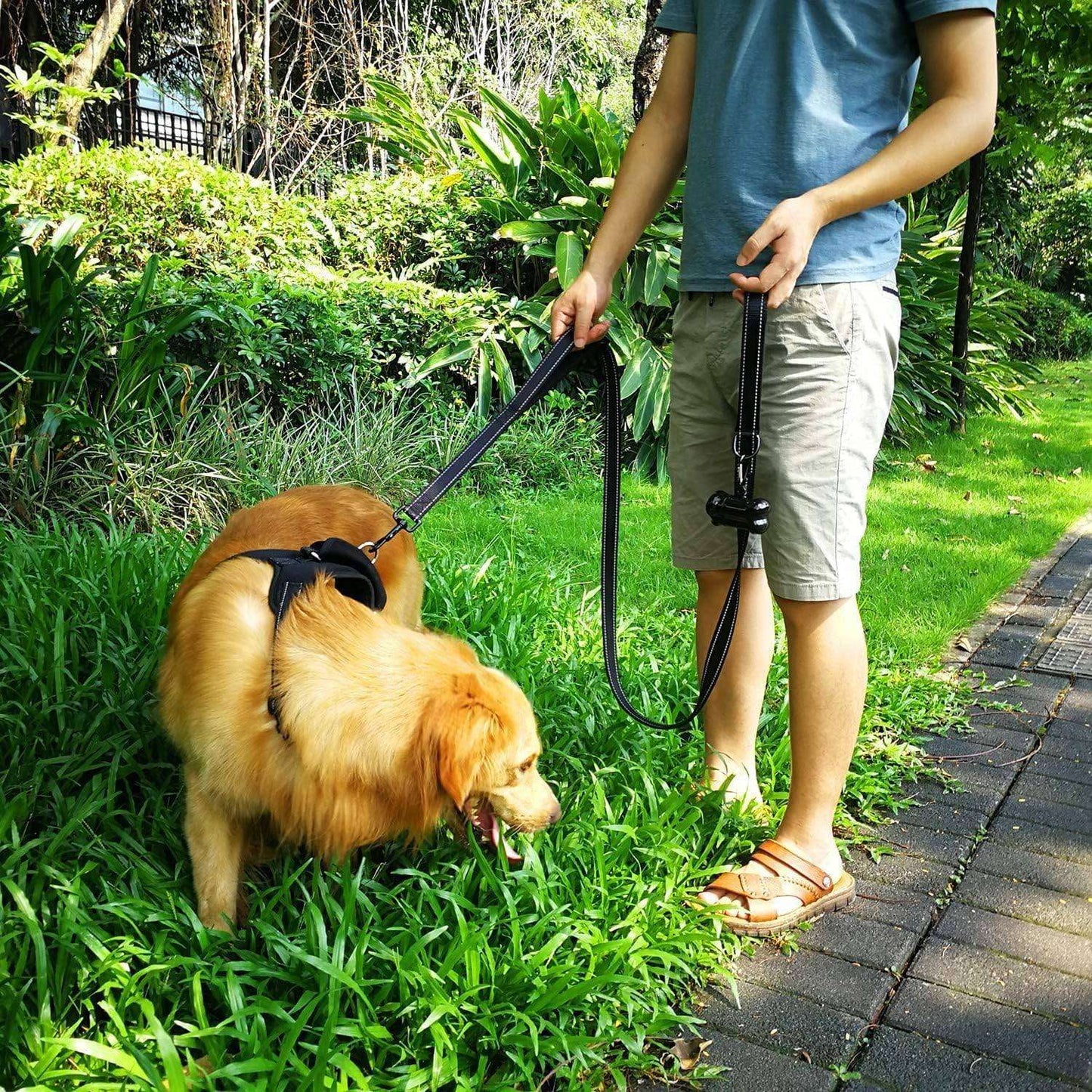 HANK Dog Leash Design for Heavy Puller | Thick Durable Comfortable (Double Handle) Black