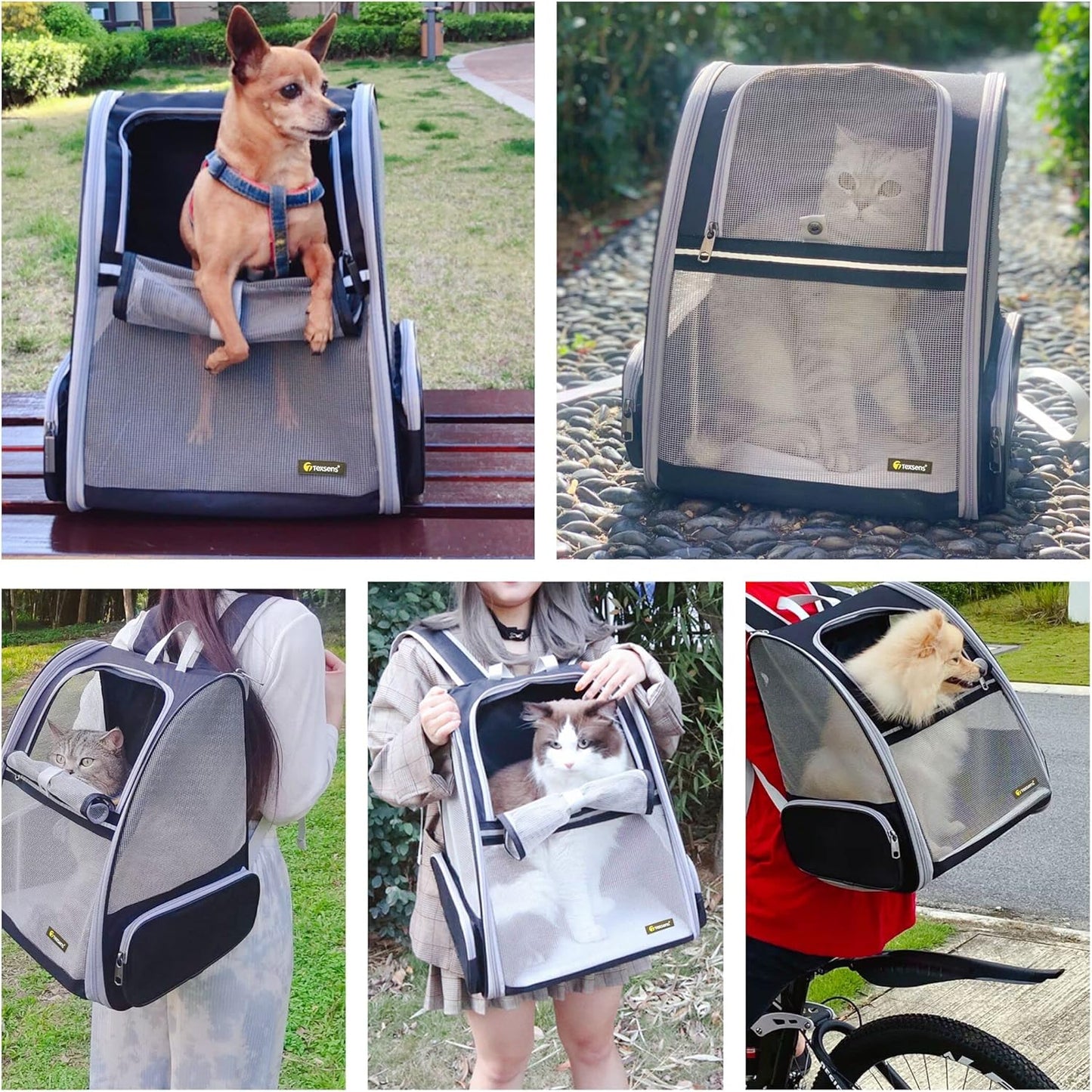 Traveler Bubble Backpack Pet Carriers for Cats and Dogs