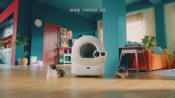 Two cats lying on a wooden floor next to a white automatic self-cleaning litter box.