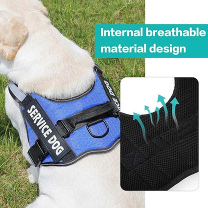 Personalized Reflective Dog Harness | Blue