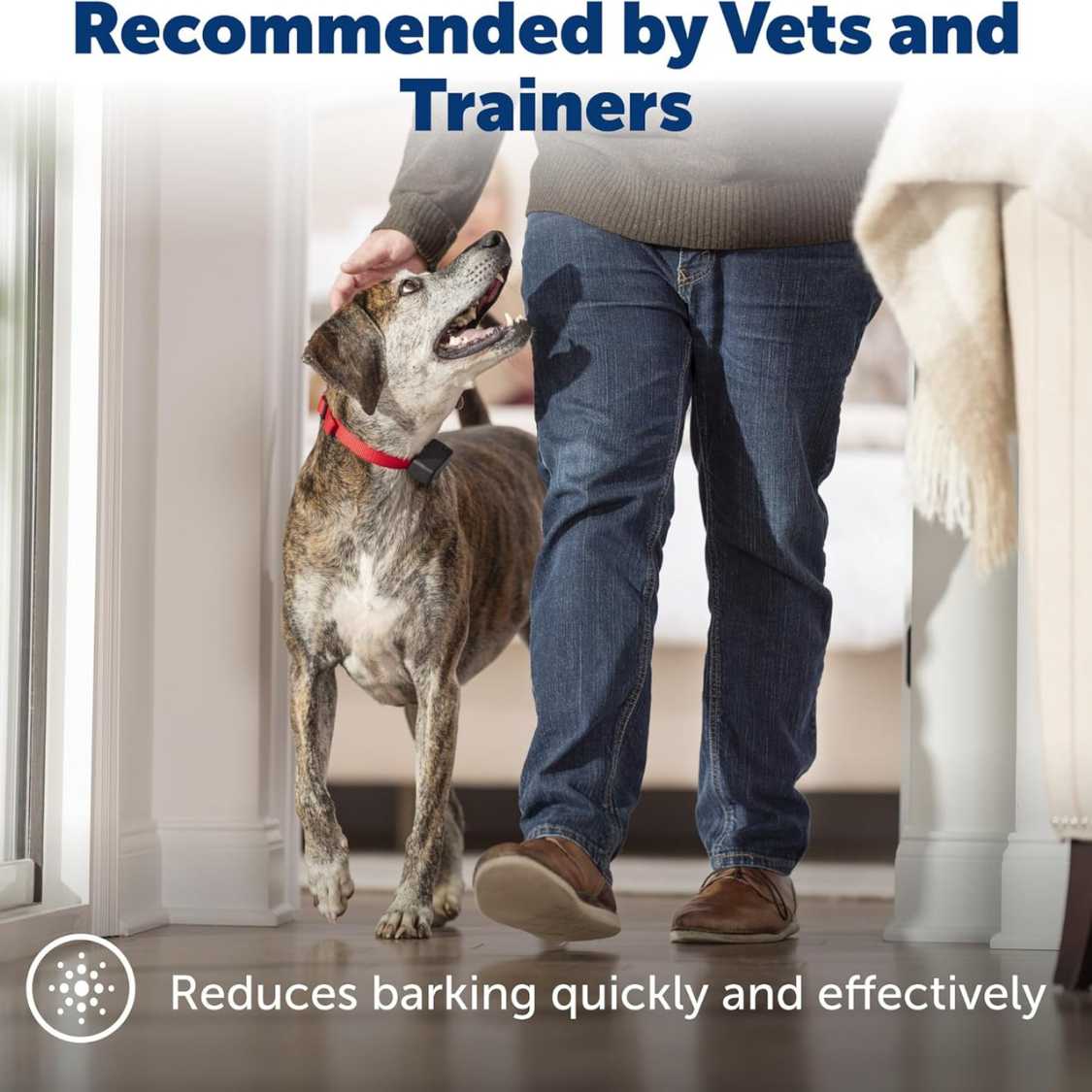 Automatic Bark Detection Collar | Safe Training for Dogs