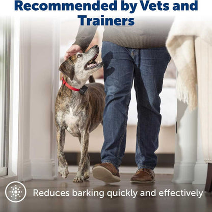 Automatic Bark Detection Collar | Safe Training for Dogs