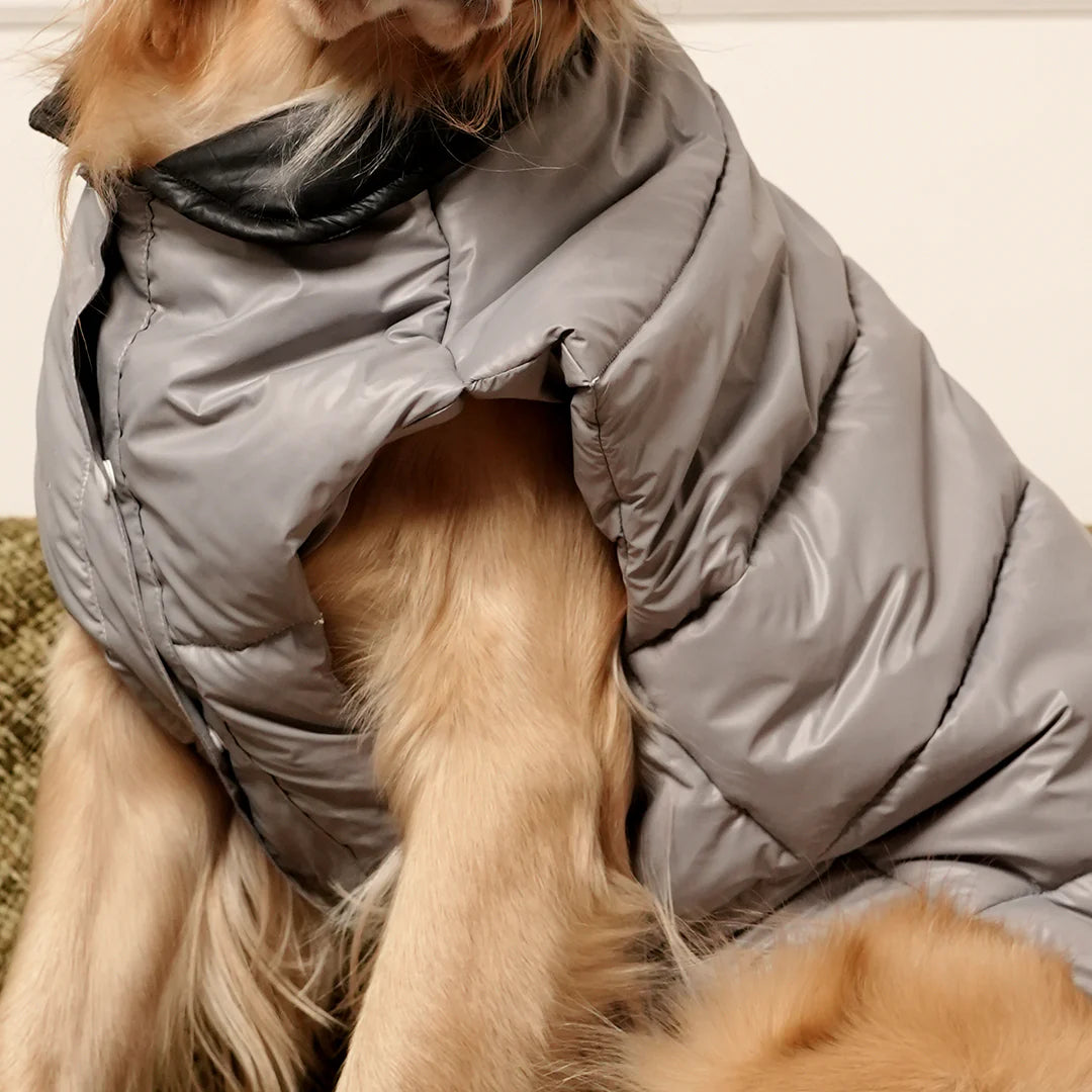 GreyWhisper Puffer | Elegant Grey Winter Pet Jacket