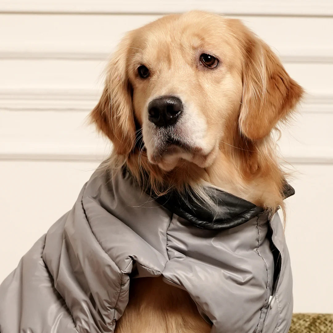 GreyWhisper Puffer | Elegant Grey Winter Pet Jacket