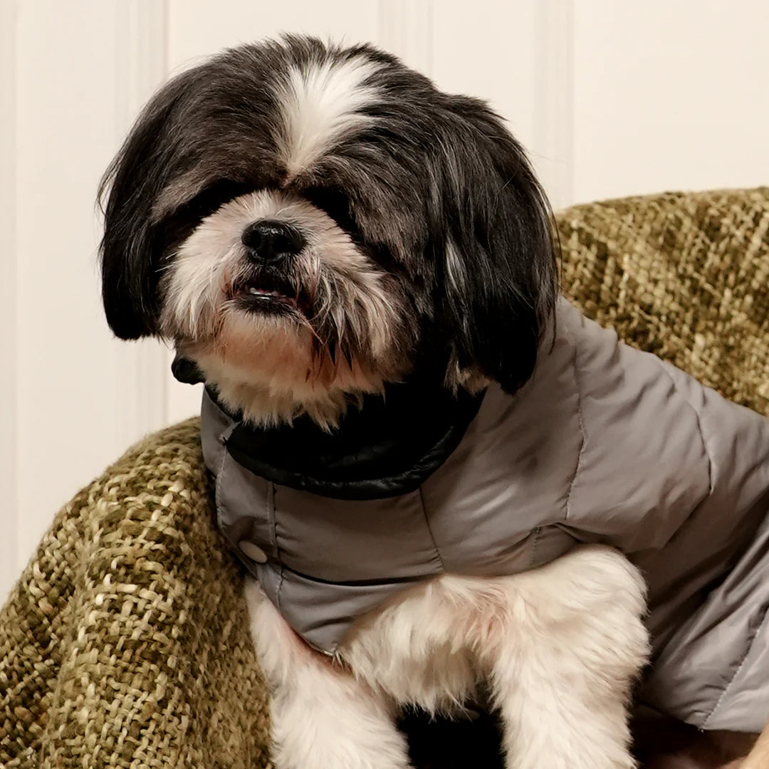GreyWhisper Puffer | Elegant Grey Winter Pet Jacket