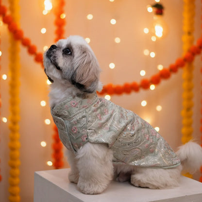 Mint Dream Designer Kurta for Dogs| Dog Ethnic & Festive Wear