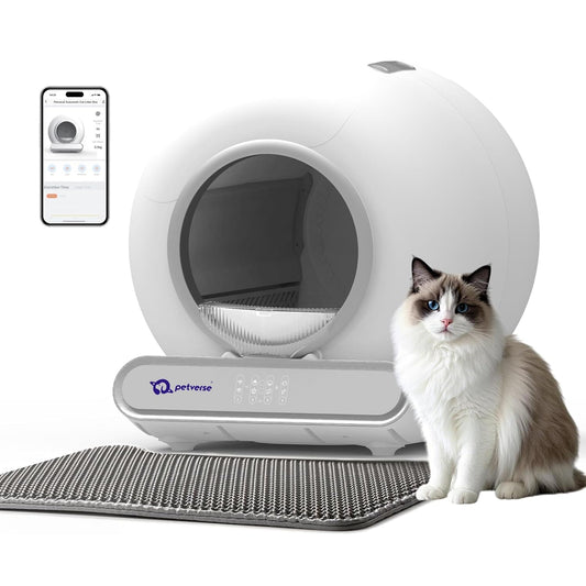 White automatic smart cat litter box with litter mat, ragdoll cat, and smartphone app display.