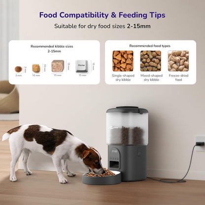 Infographic showing 2–15mm kibble size compatibility chart for automatic pet feeder with dog.