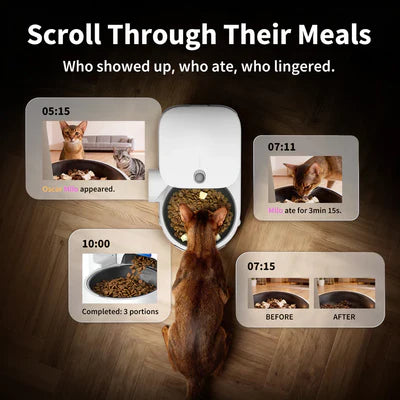 Automatic Pet Feeder With AI Camera | App Control Pet Food Dispenser