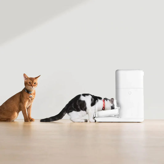 Automatic RFID Pet Feeder | Smart App Controlled Food Dispenser
