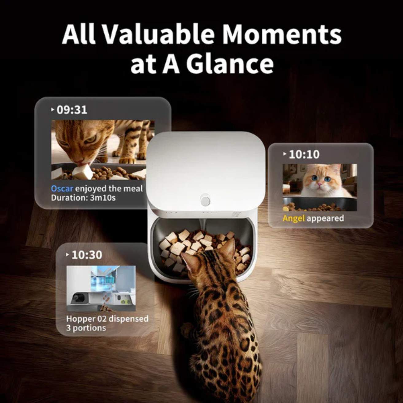 Dual Hopper Automatic Pet Feeder With Camera | App Control Food Dispenser