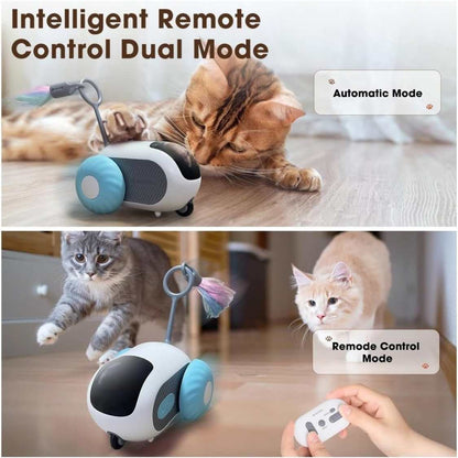 Interactive Electric Pet Toy with Remote Control | Smart Dog & Cat Toy