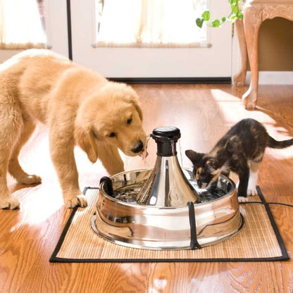 Stainless Steel 360 Pet Water Fountain for Dogs & Cats