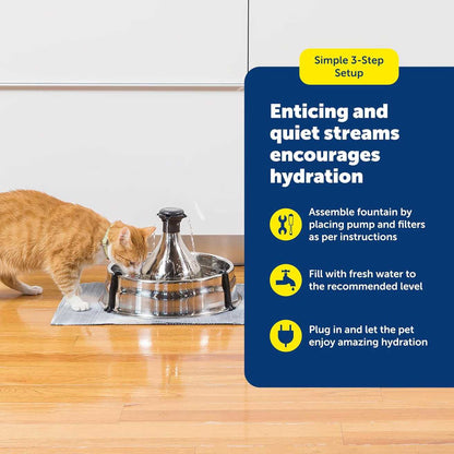 Stainless Steel 360 Pet Water Fountain for Dogs & Cats