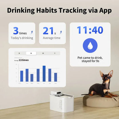 Smart Automatic Pet Water Fountain | Eversweet Max (White)