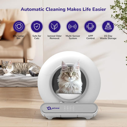 Infographic showing a round smart cat litter box with a mat, a Ragdoll cat, and its smartphone app interface.