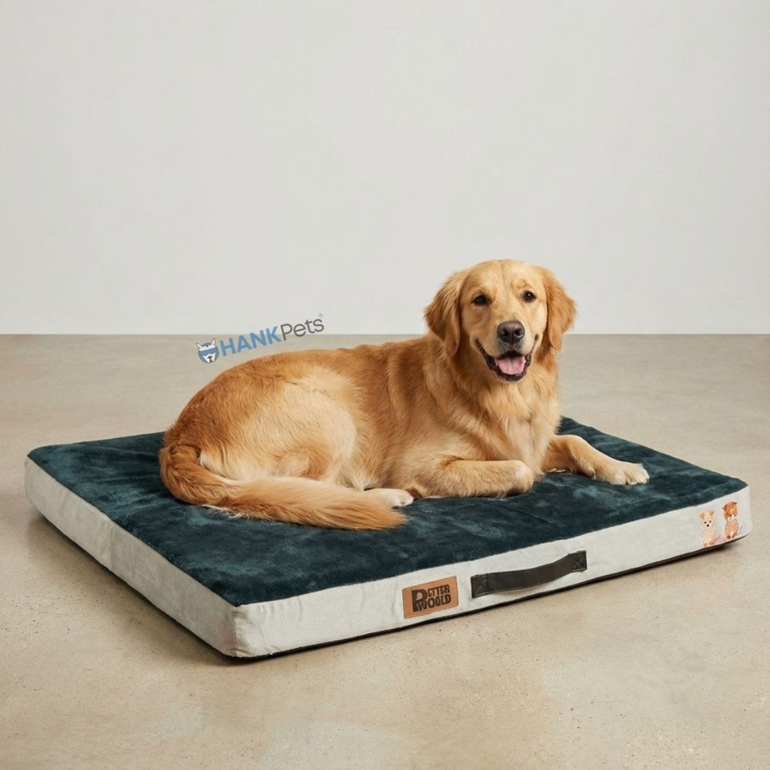 Orthopedic Pet Bed Memory Foam | Soft & Washable Pet Bed