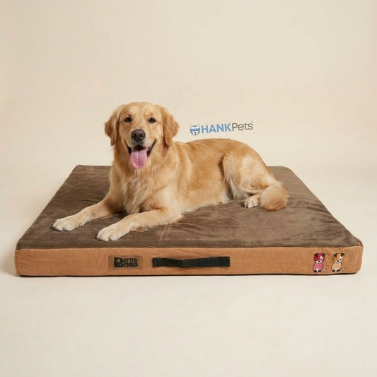 Orthopedic Dog Bed Memory Foam | Soft & Washable Pet Bed