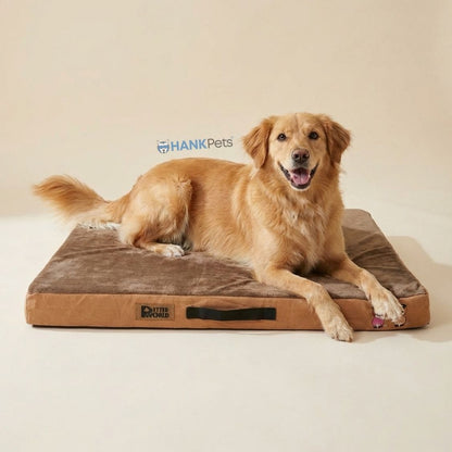 Orthopedic Dog Bed Memory Foam | Soft & Washable Pet Bed