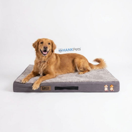 Memory Foam Orthopedic Dog Bed | Durable & Comfortable (Grey)