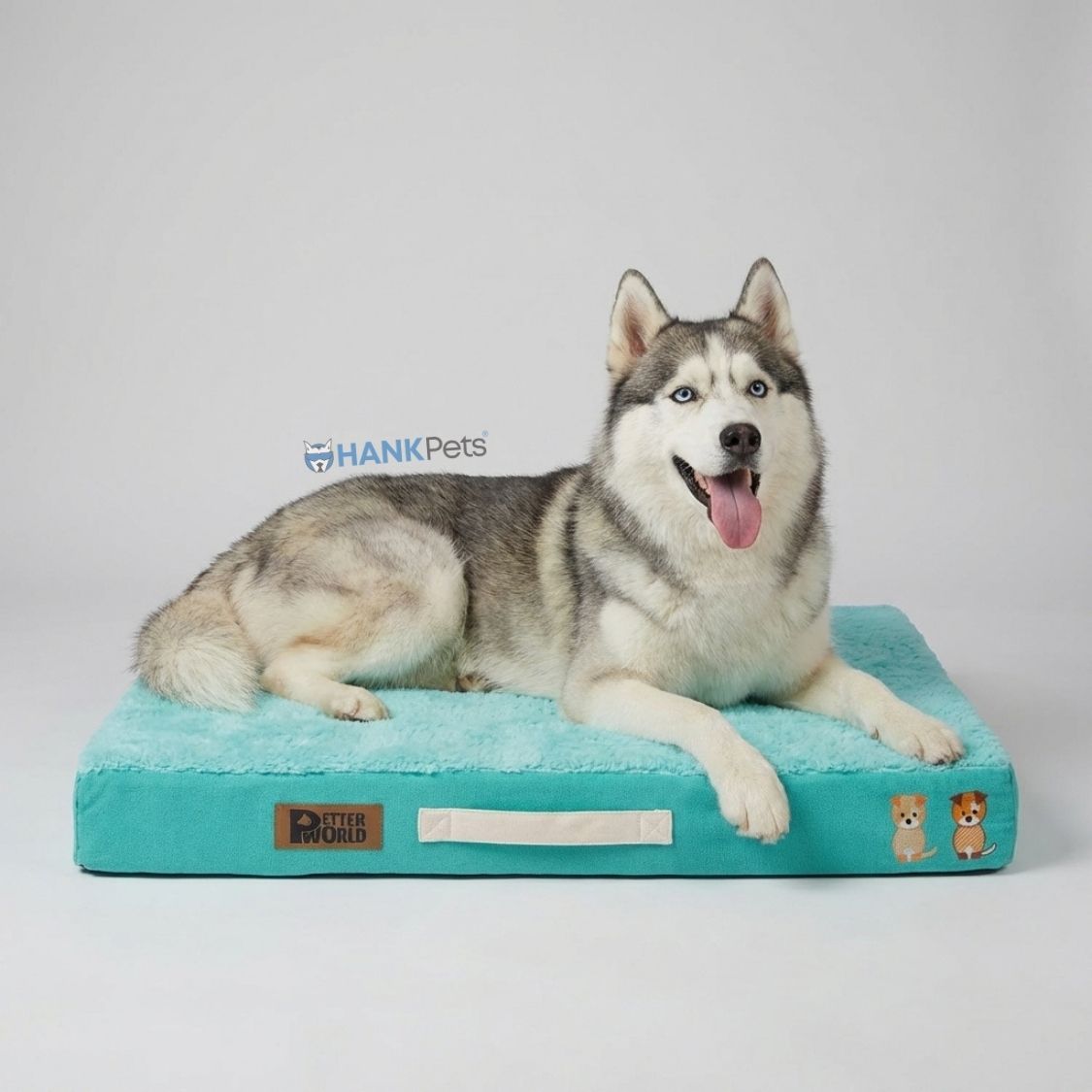 Orthopedic Memory Foam Dog Bed | Joint Health & Preventive Care