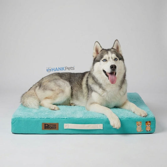 Orthopedic Memory Foam Dog Bed | Joint Health & Preventive Care