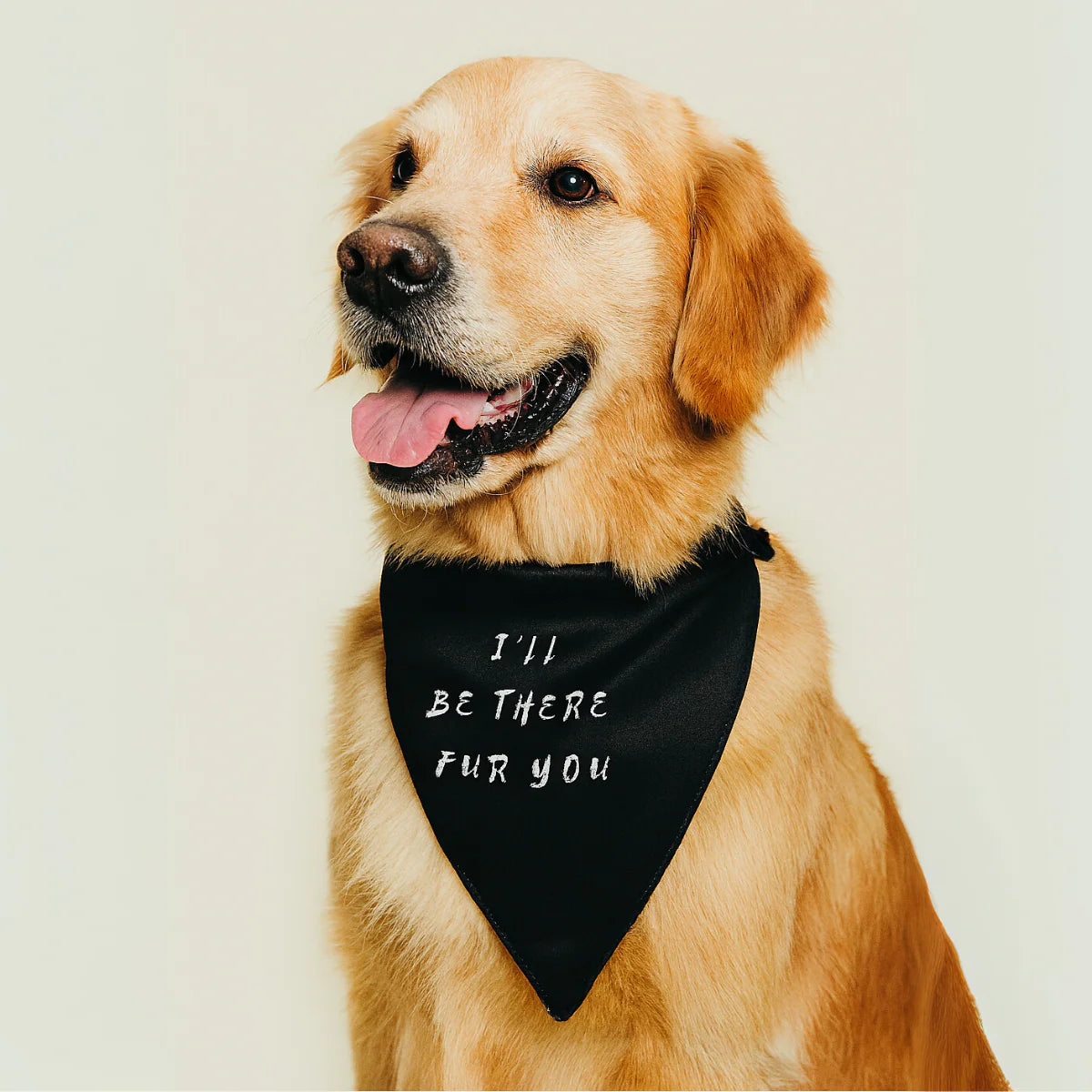 Bandana for Dogs and Cats | I'll Be There Fur You