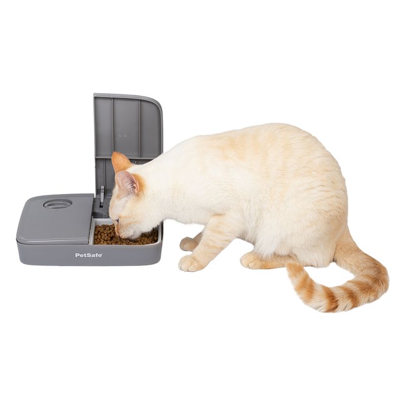 2 Meal Automatic Pet Feeder for Cats and Dogs