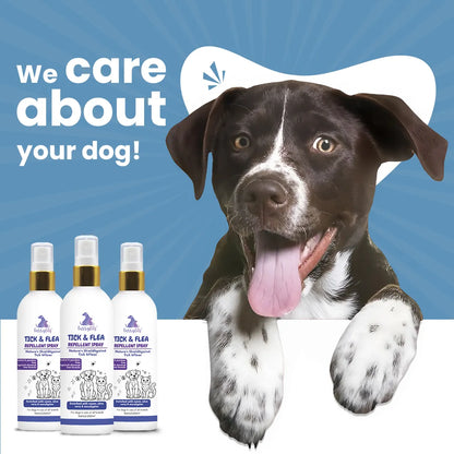 Pet Tick & Flea Repellent Spray for Cats & Dogs