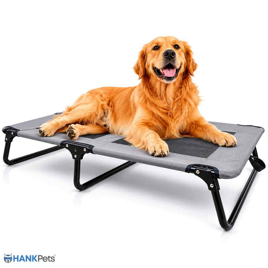 Trixie Elevated Cooling Dog Bed | Foldable Raised Pet Cot for Indoor & Outdoor Use
