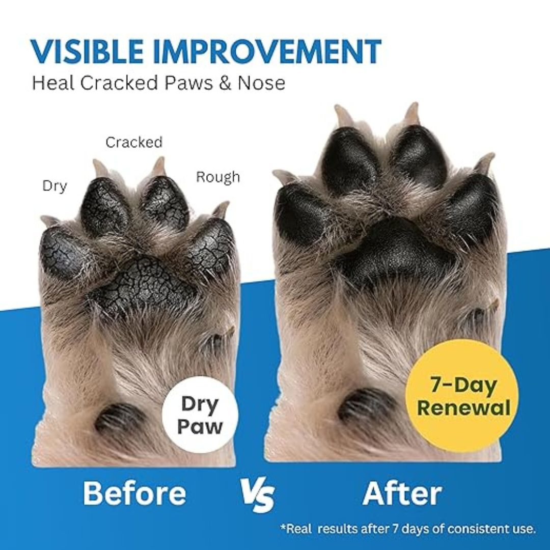 HANK Paw & Nail Care Kit | Paw Cream & Pet Nail Grinder with LED Light