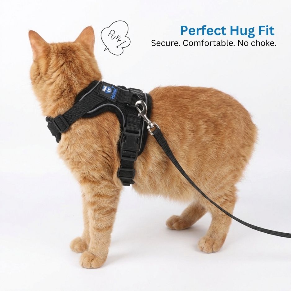 HANK Reflective Cat & Small Dog Harness With Leash For Daily Walks (Black)
