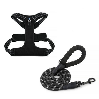 Black Dog Harness