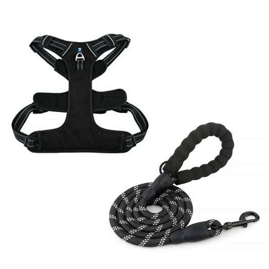 Black Dog Harness
