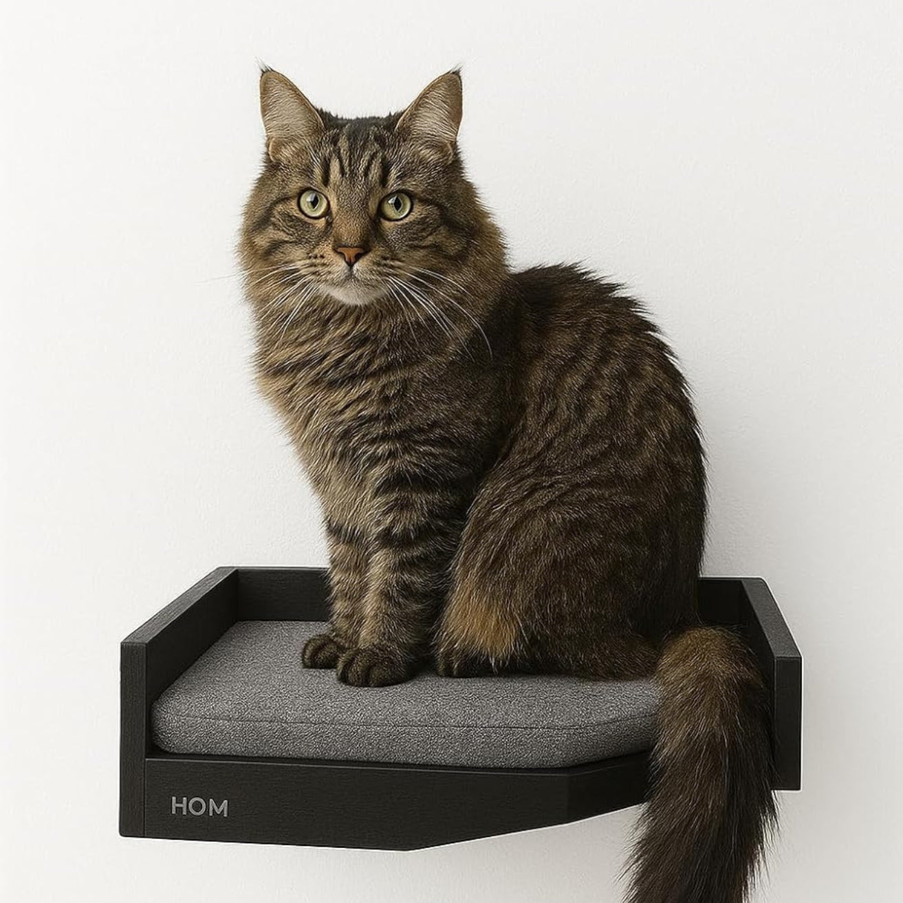Wall Mounted Cat Shelves & Corner Climber (Black)