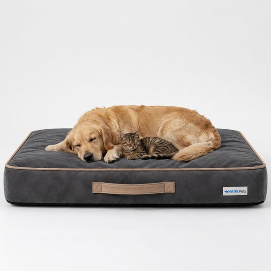 HANK CloudRest Premium Mattress Dog Bed | Anti Skid & Machine Washable