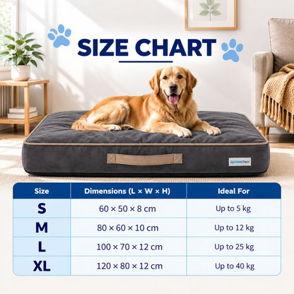 HANK CloudRest Premium Mattress Dog Bed | Anti Skid & Machine Washable (Green)