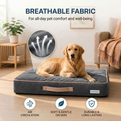 HANK CloudRest Premium Mattress Dog Bed | Anti Skid & Machine Washable